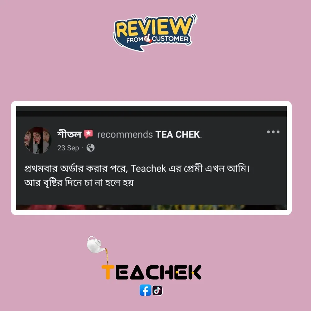 teachek reviews (1)