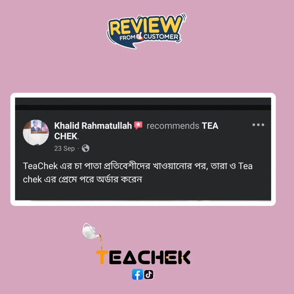 teachek reviews (3)