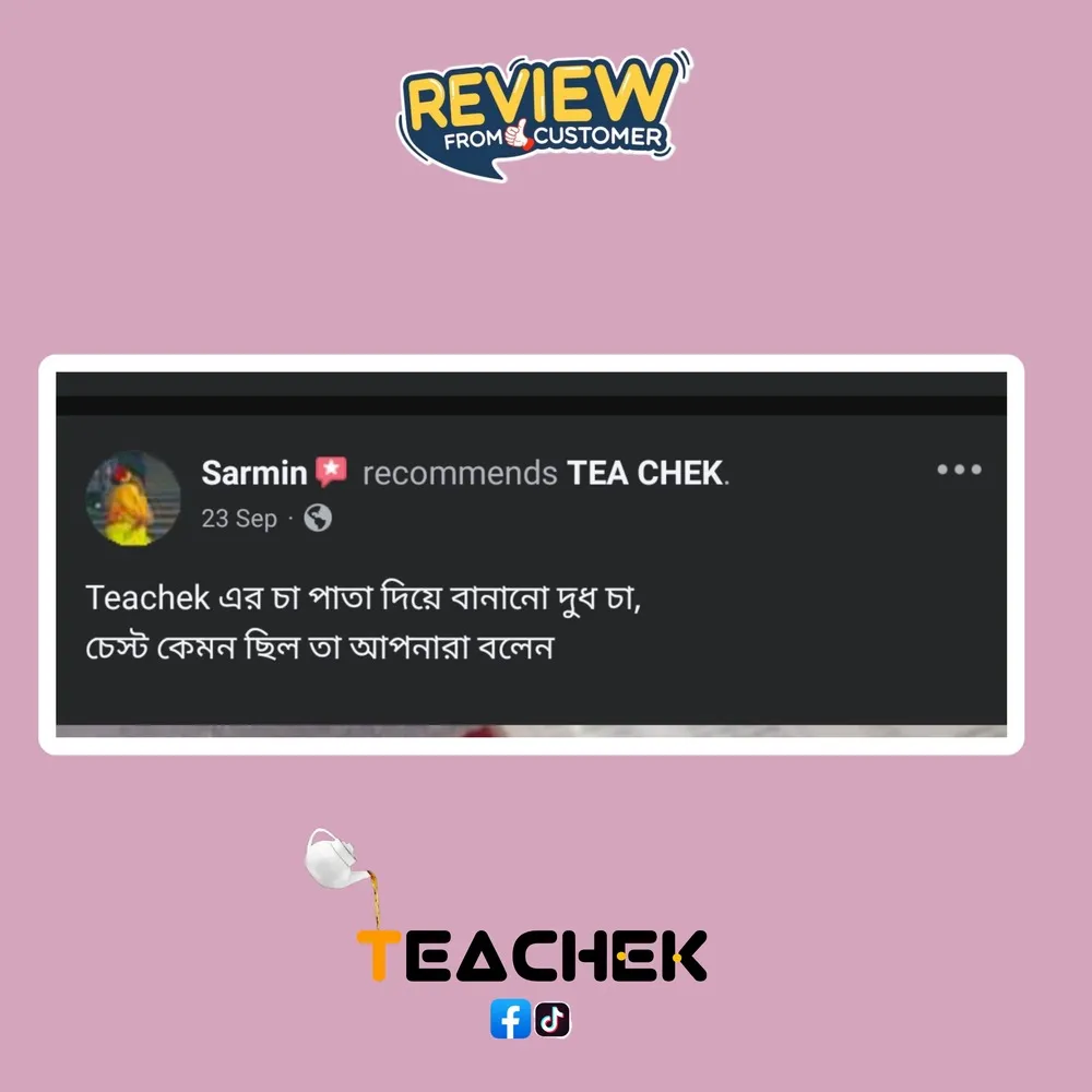 teachek reviews (4)