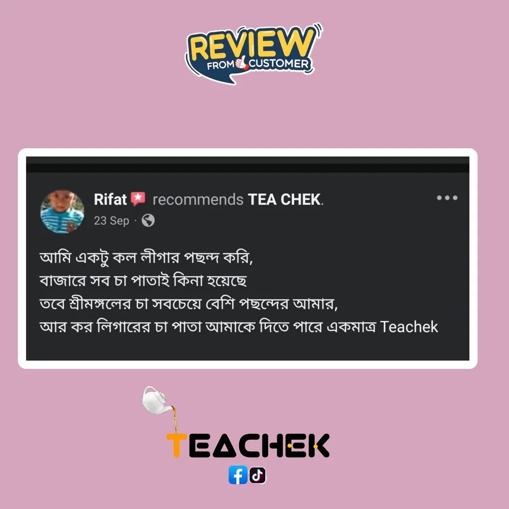 teachek reviews (5)