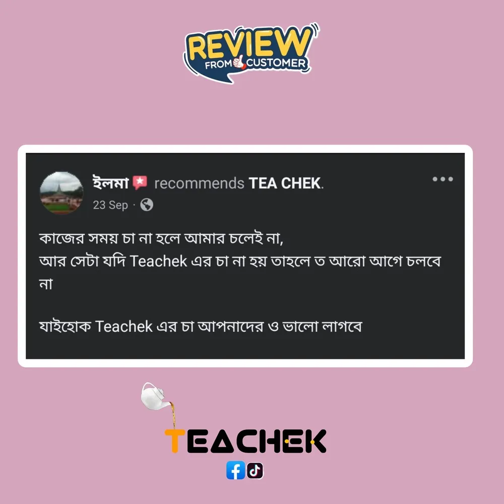 teachek reviews (6)